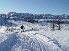 images/JUL/Bilder/ski.jpg