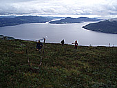 Herefjellet